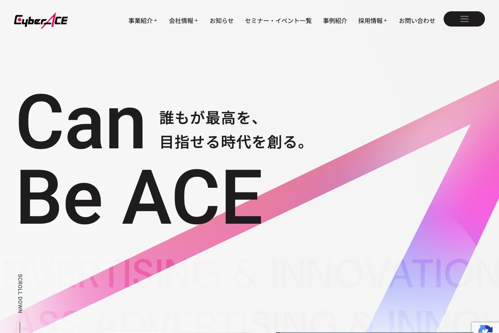 株式会社CyberACE