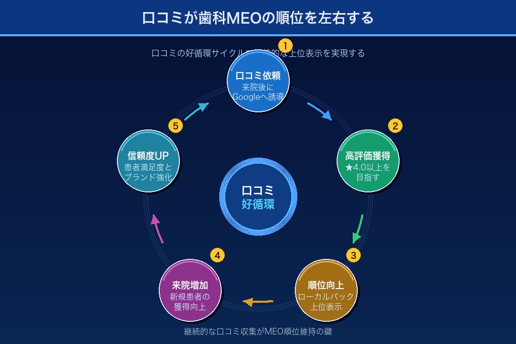口コミが歯科MEOの順位を左右する｜信頼性を高める実践法