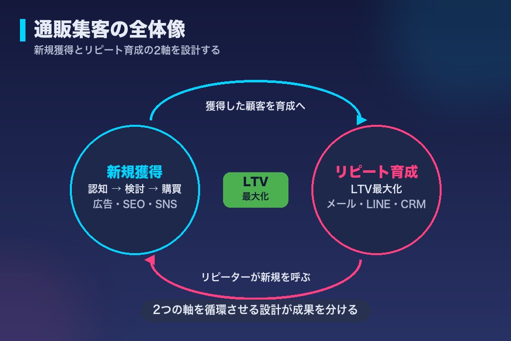 第1章 通販集客の全体像｜新規獲得とリピート育成の2軸を設計する