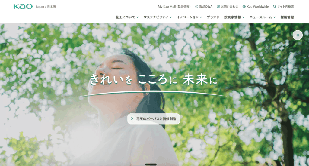 花王株式会社｜動画広告×精密ターゲティングでブランド認知を15pt向上